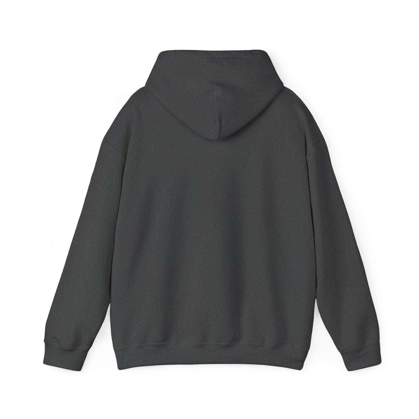 Experience Hoodie -