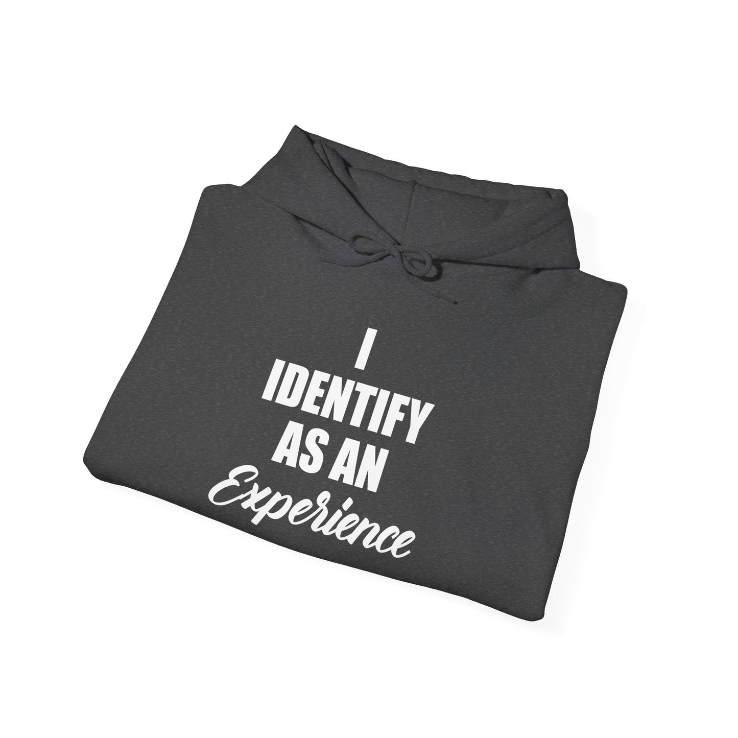 Experience Hoodie -