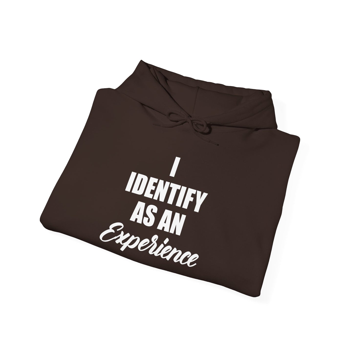 Experience Hoodie -