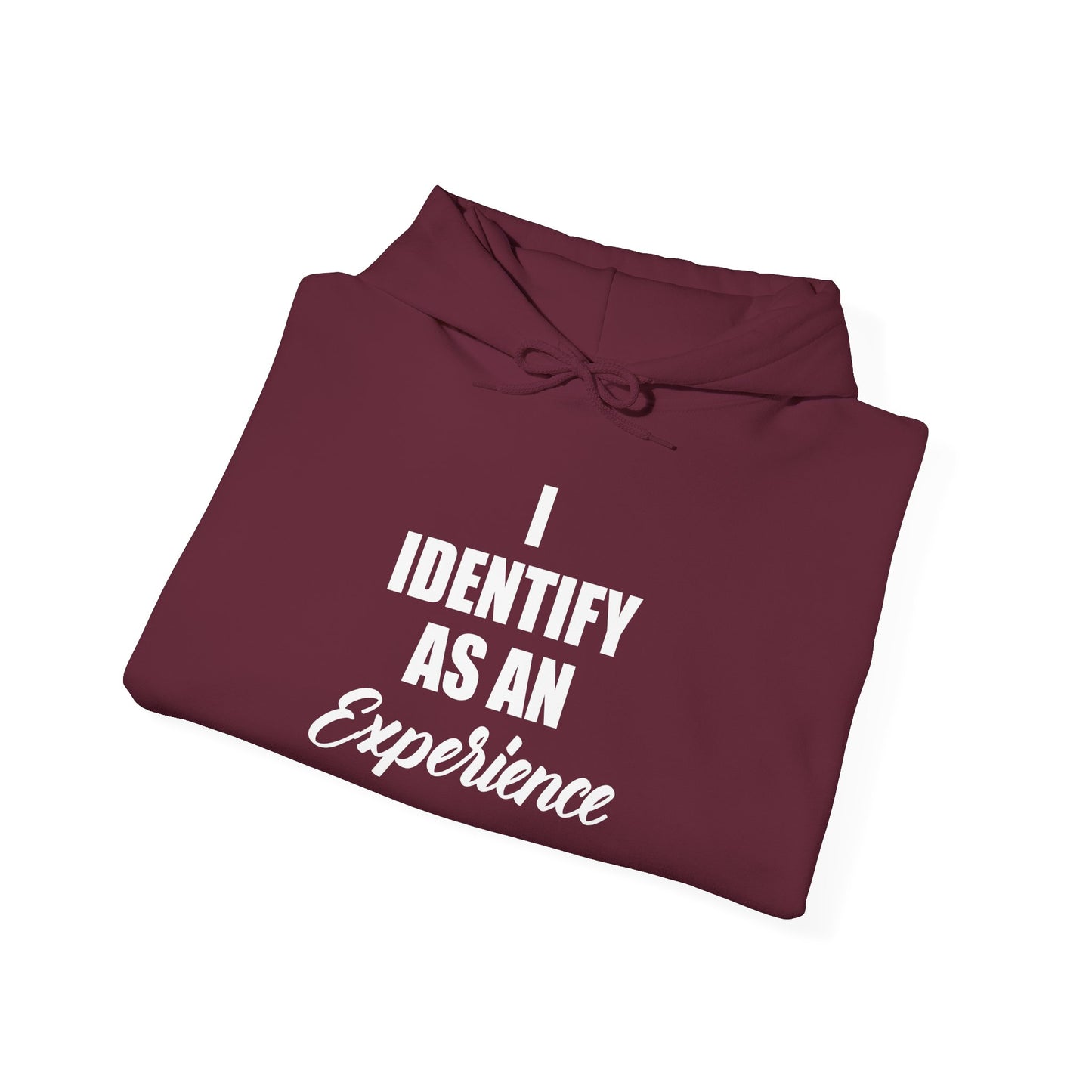 Experience Hoodie -