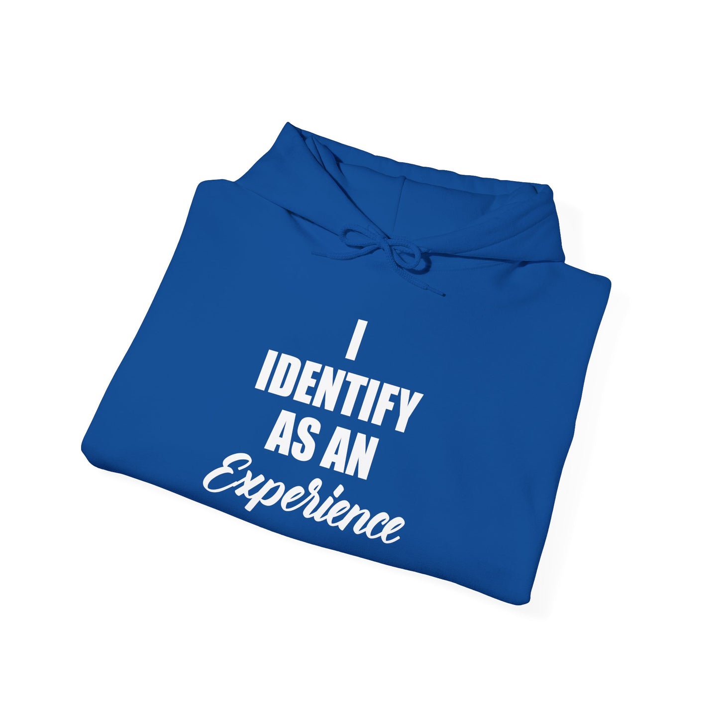 Experience Hoodie -