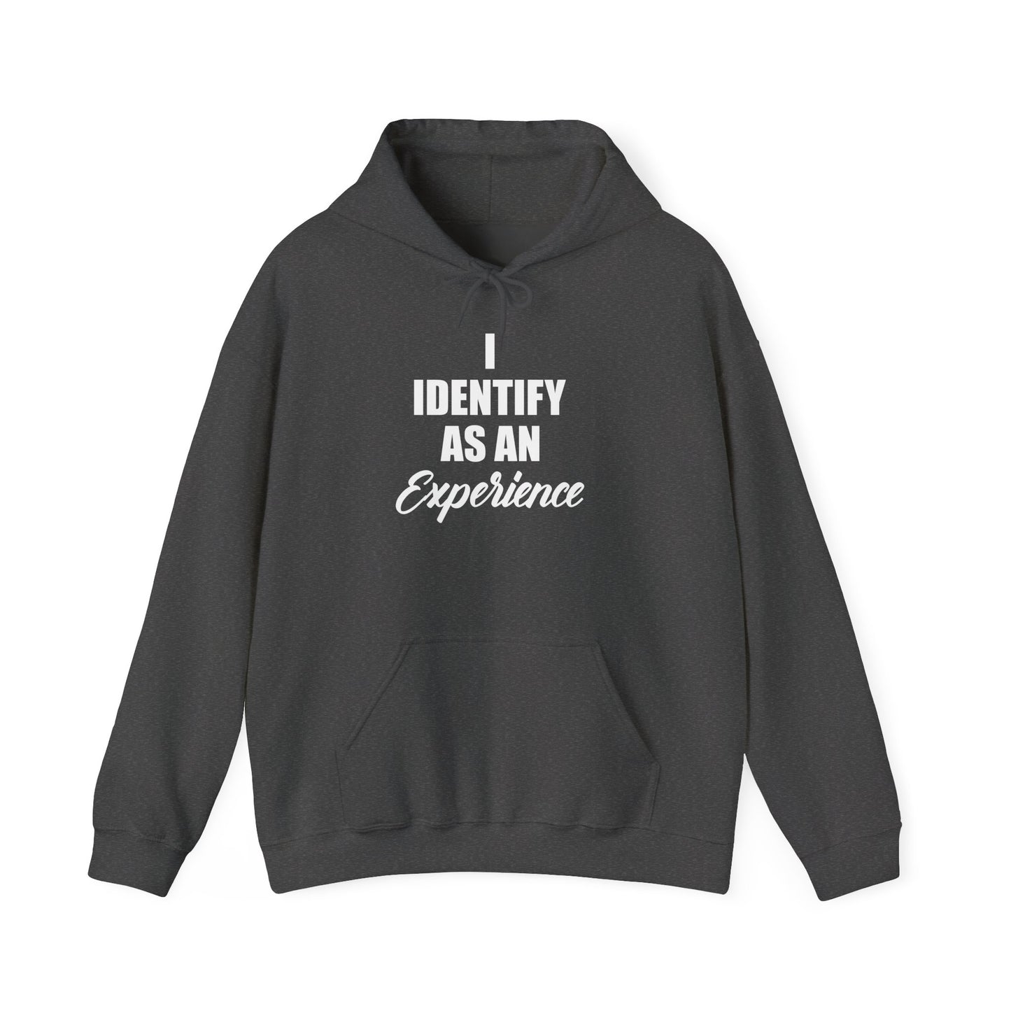 Experience Hoodie -