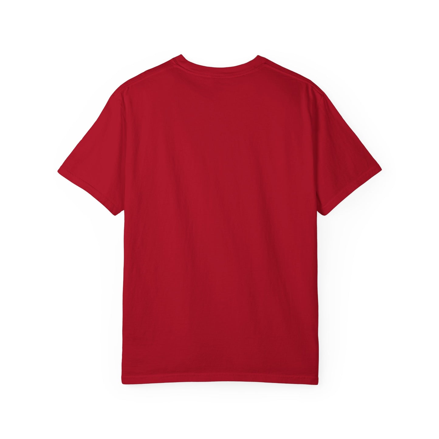 Lifelong Learner T-shirt,